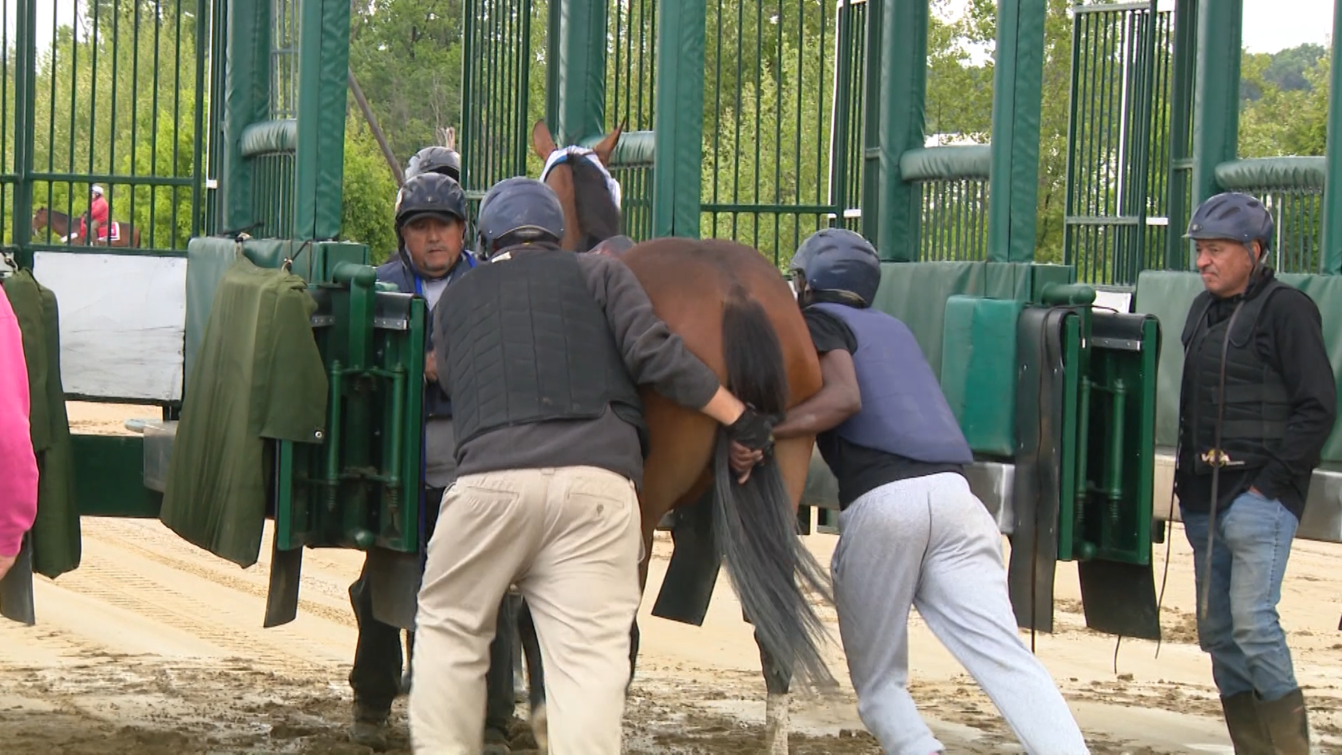 Preakness starter reveals the art and danger of loading horses at Laurel Park
