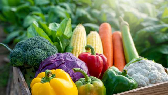 Santa Cruz VegFest returns to the Santa Cruz County Fairgrounds