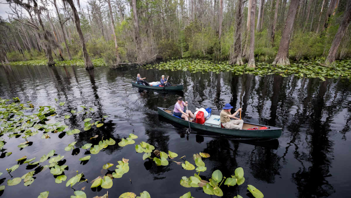 Stephen C. Foster State Park renamed Okefenokee State Park