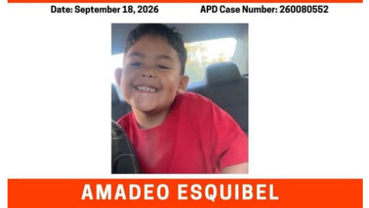 Coverage image for: Amber Alert canceled; grandmother in custody after 6-year-old goes missing