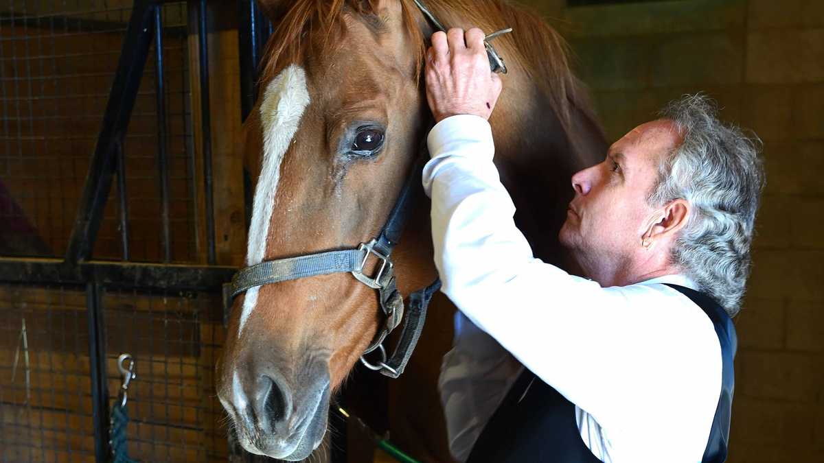Likelihood Terminology Second Chances Farm graduates its latest class | Photos - WBAL