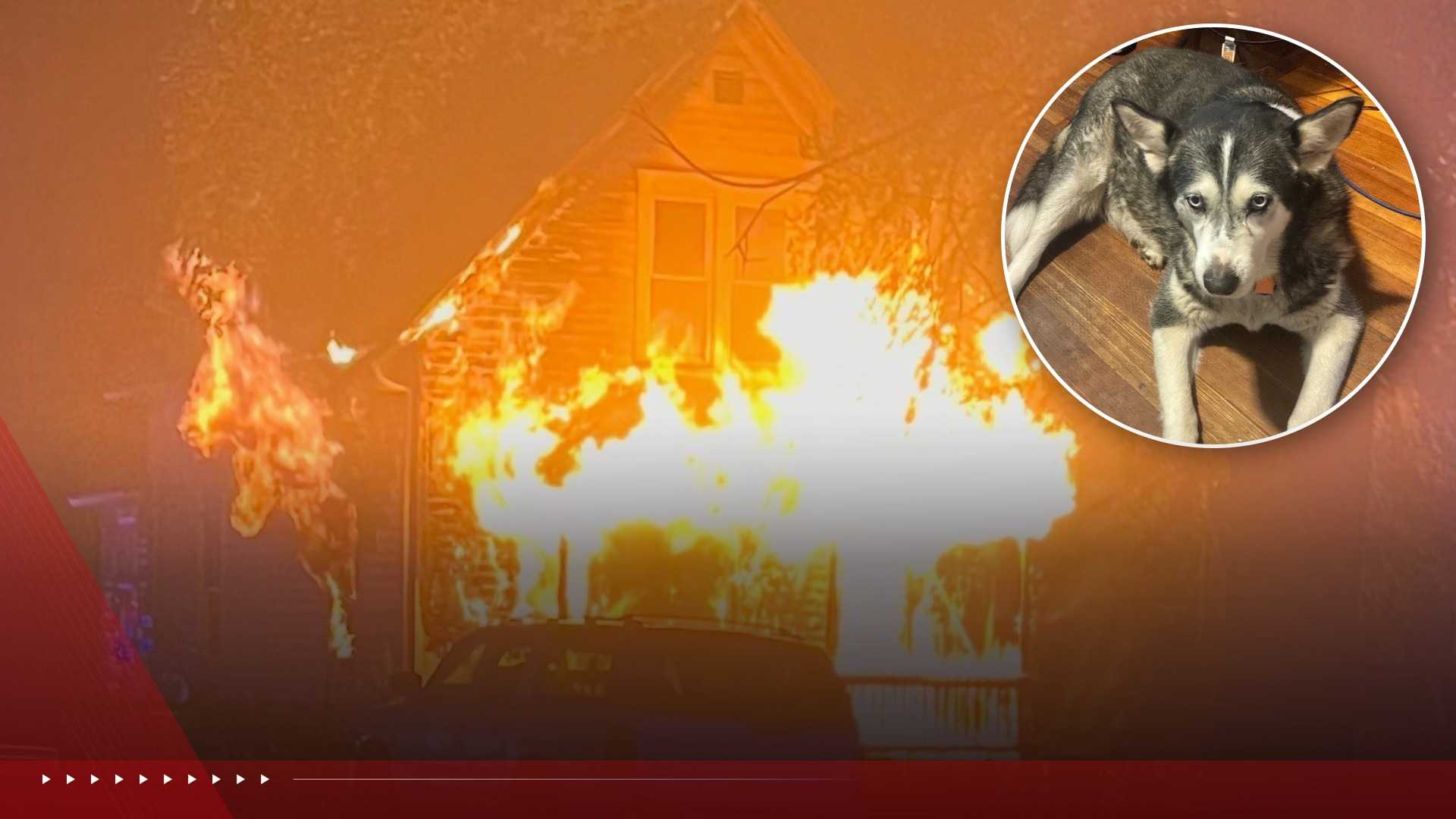 Family dog saves its owner after Nebraska home catches fire and smoke alarms failed