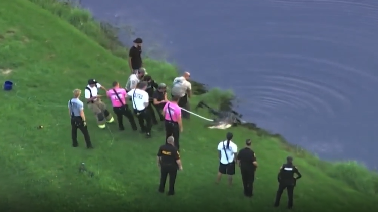 Winter Garden alligator attack victim's cause of death released