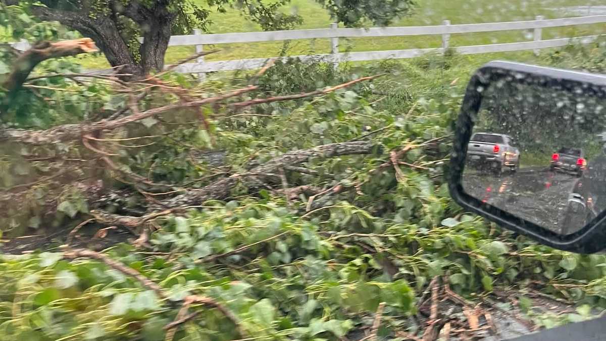 Thunderstorm knocks down tree limbs in Northeast Kingdom