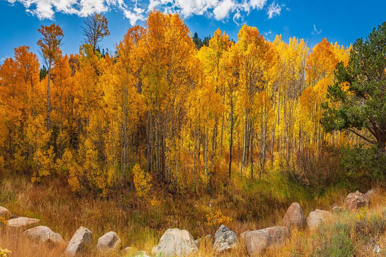 Explore Outdoors: Fall colors arrive early in Hope Valley. How to capture the best foliage photos