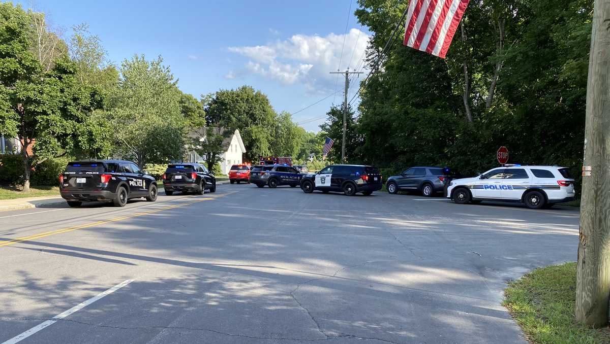 Heavy police presence seen near Town Hall in Hollis