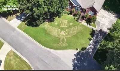 Man creates bald eagle lawn design for Fourth of July