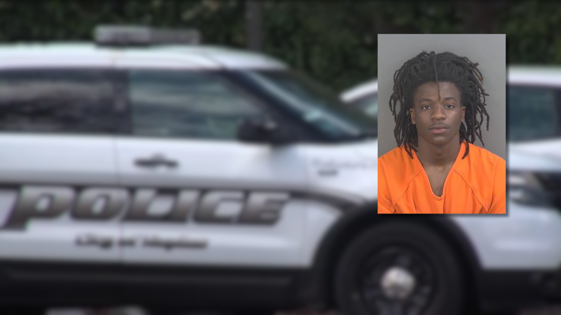 gulfcoastnewsnow.com - Carson Zorn - 18-year-old driver faces 129 charges after search turns up suspected drugs in dinosaur bag in Naples