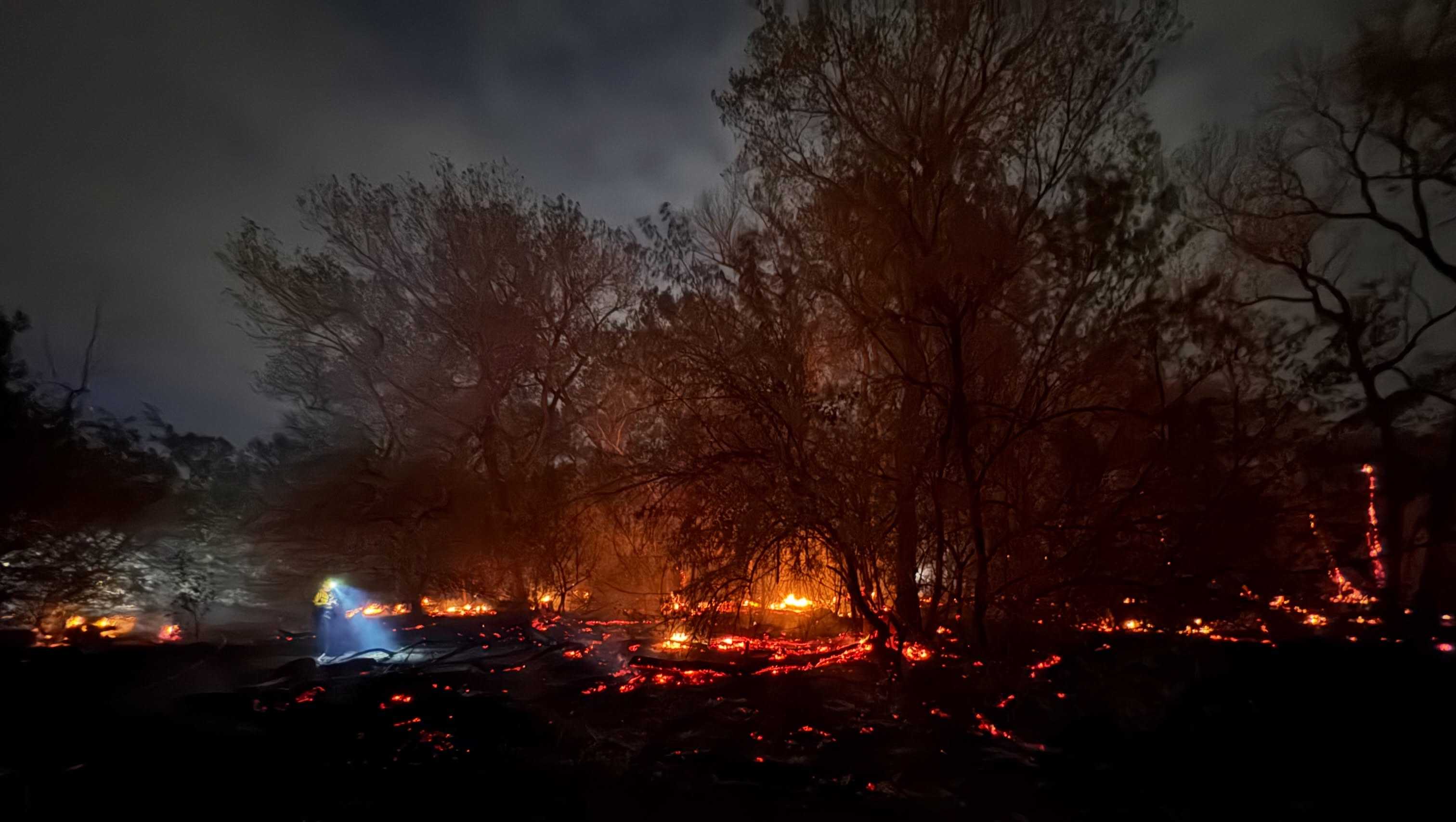 New Mexico fire crews kept busy with July 4 fireworks calls and fires