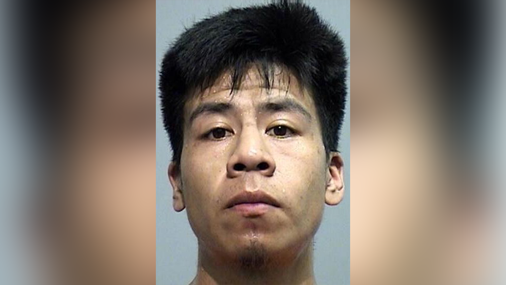 Driver arrested after deadly head-on crash in Effingham County