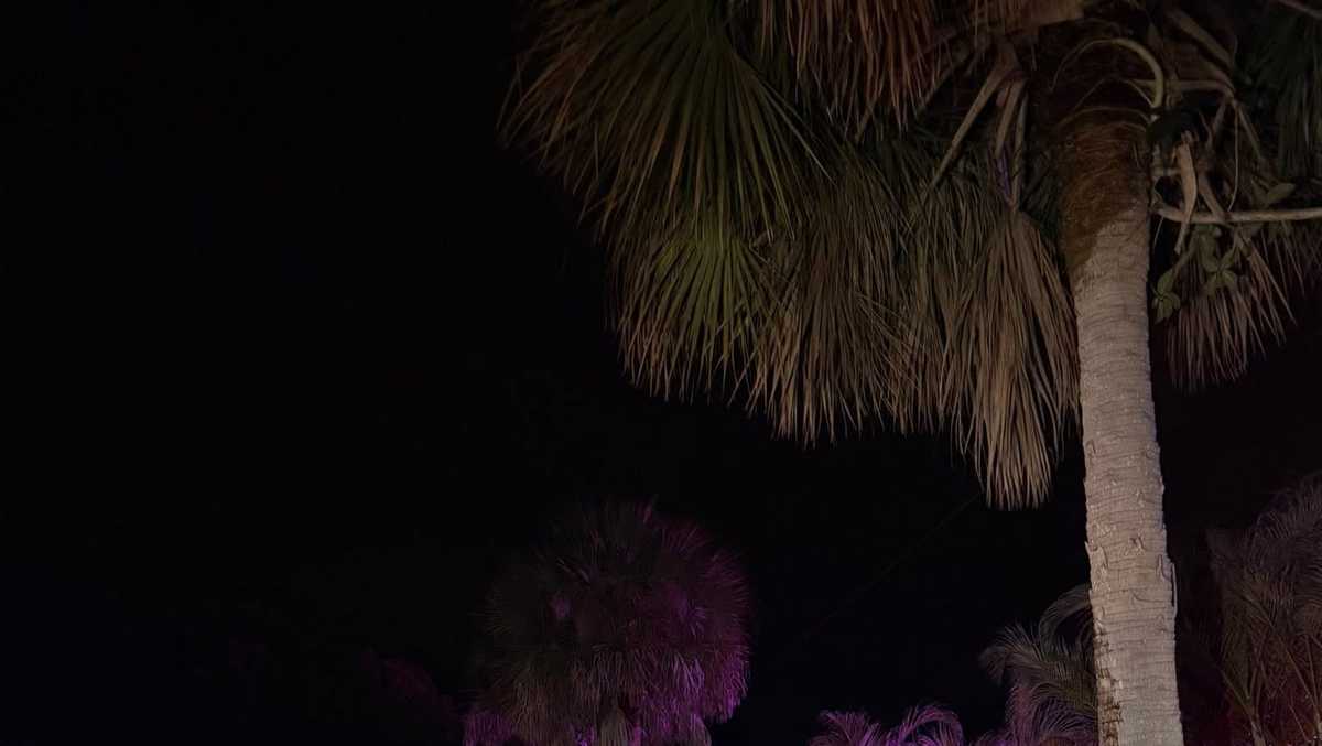 Man flees scene after crashing into water pipe, disrupting service for Hobe Sound residents