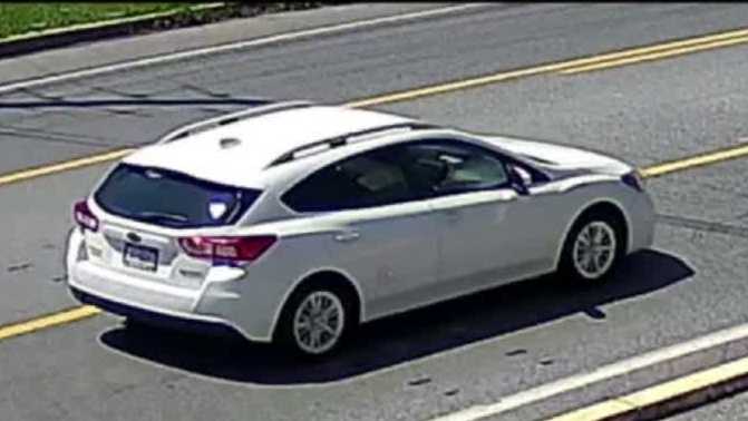 Police seek driver in Lancaster County hit-and-run