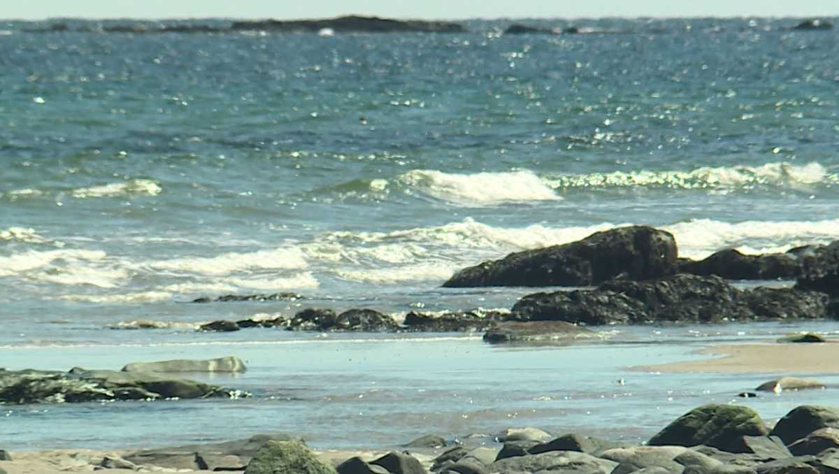 Wells beach clean-up returns for 7th year