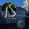 Growing courthouse memorial honors fallen Claiborne County deputy