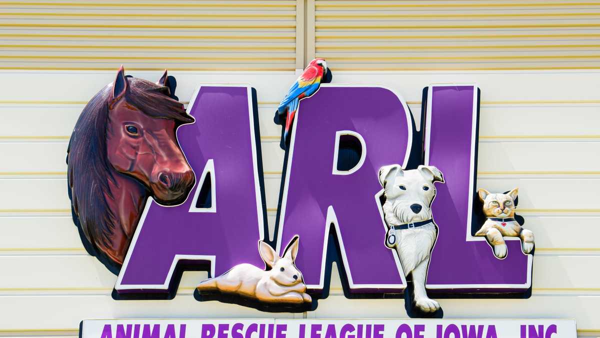 Scammers target Iowa pet owners with false claims about lost animals