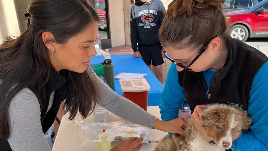 SPCA Monterey County will host a free pet microchip and $25 vaccine event