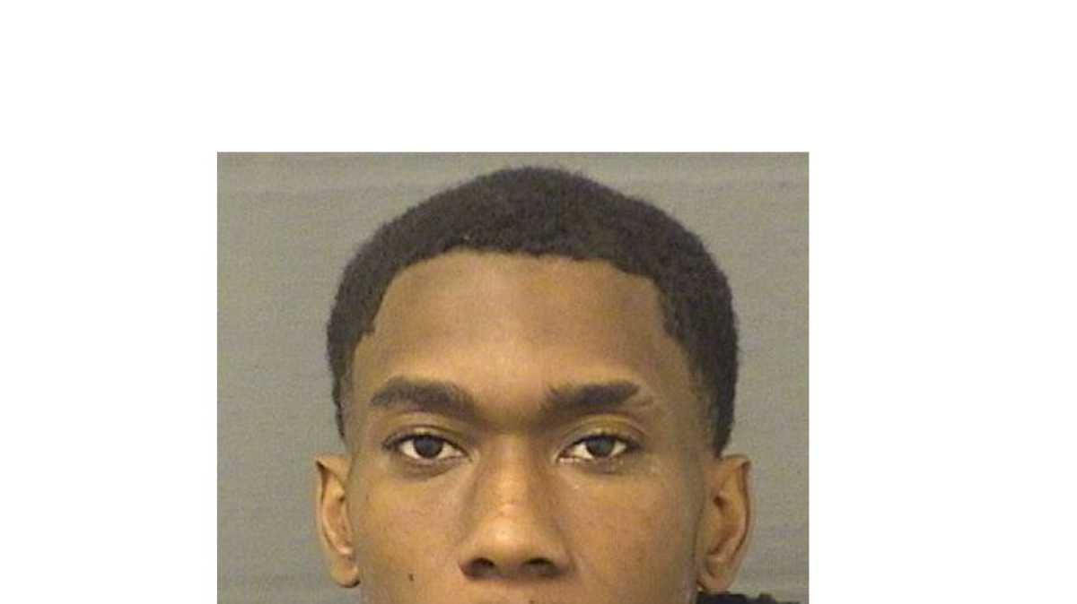 Man charged after fleeing police and attacking K-9 in Boynton Beach