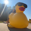 Freestore Foodbank kicks off Rubber Duck Regatta for children facing hunger