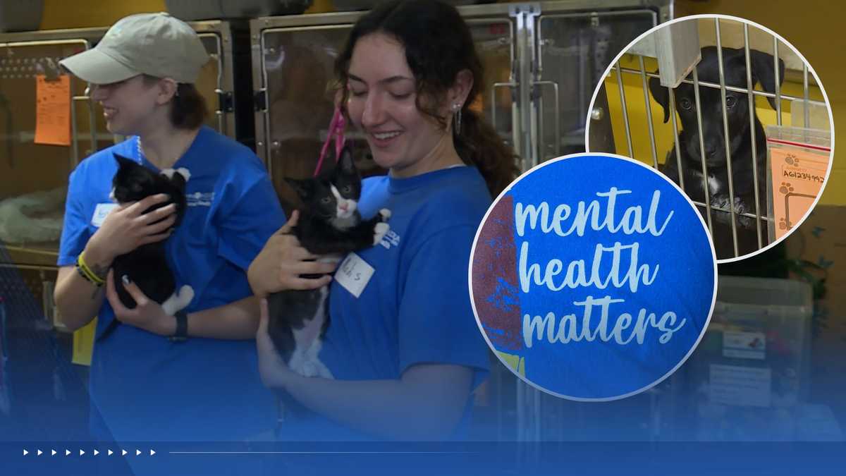 Teens talk mental health while helping shelter pets at Wayside Waifs