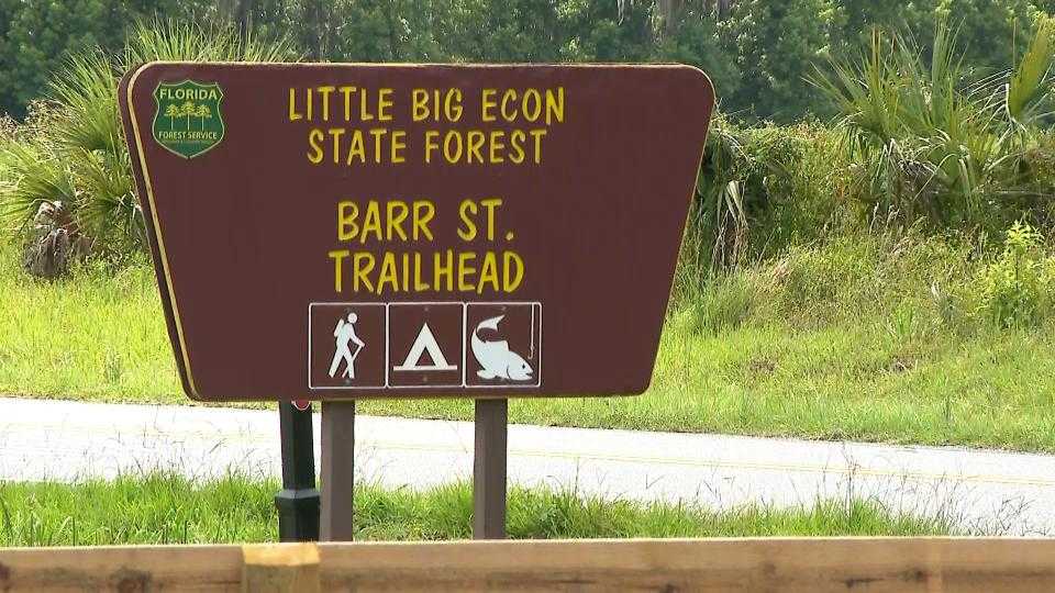 Alligator bites, kills woman swimming in the Little Big Econ River, FWC says