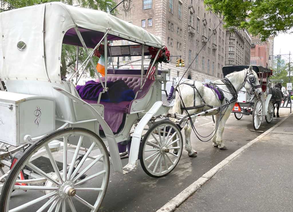 Mayor Mamdani, other leaders push to ban NYC horse-drawn carriage rides after teen's death