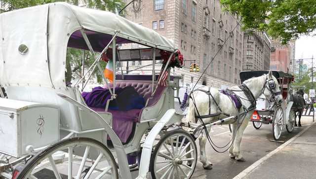 New York mayor, other leaders push to ban horse-drawn carriage rides after teen's death