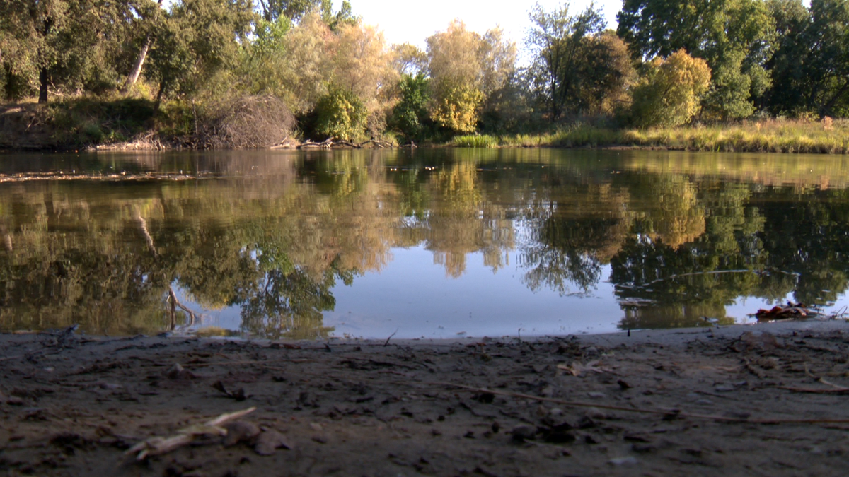 Man Drowns in American River Near Arden Arcade, Sacramento County