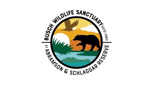 Busch Wildlife Sanctuary sees increase in patients