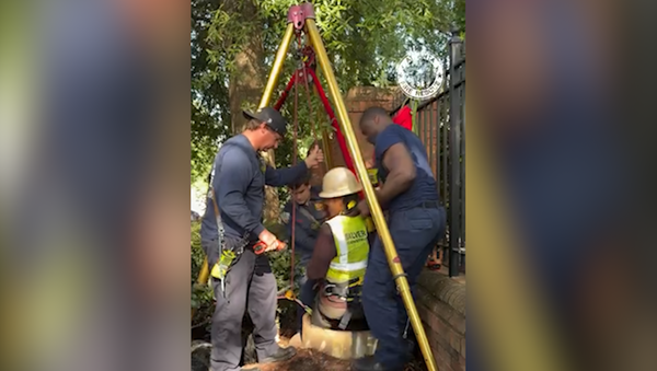A man was rescued after falling while working in a 20-foot deep manhole in Georgia.