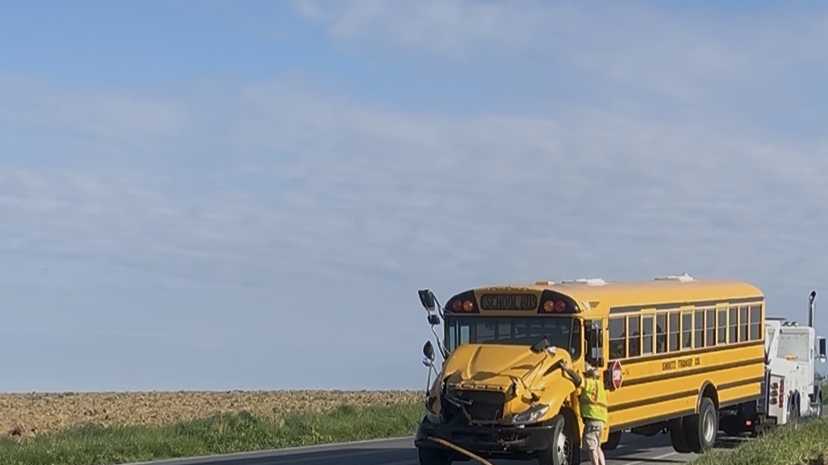 School bus, box truck involved in crash