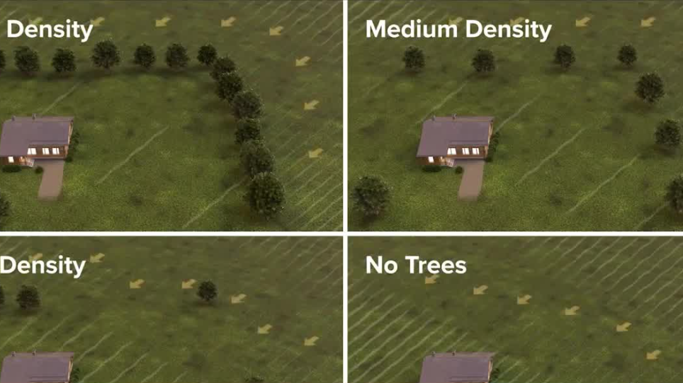 Florida International University study shows trees can reduce hurricane damage to homes