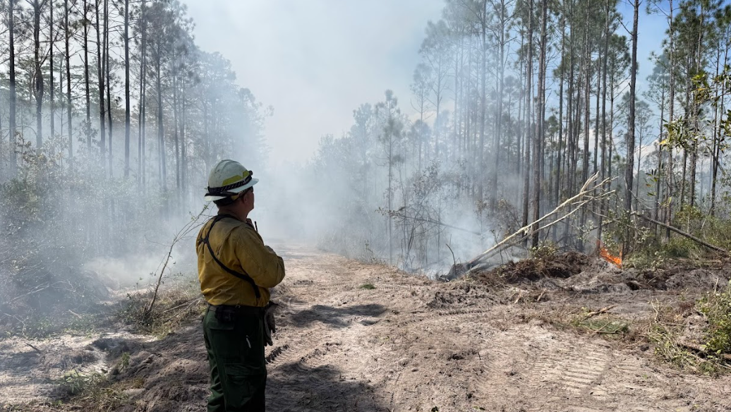 Homes destroyed, evacuations, donations: What to know about the Southeast Georgia wildfires