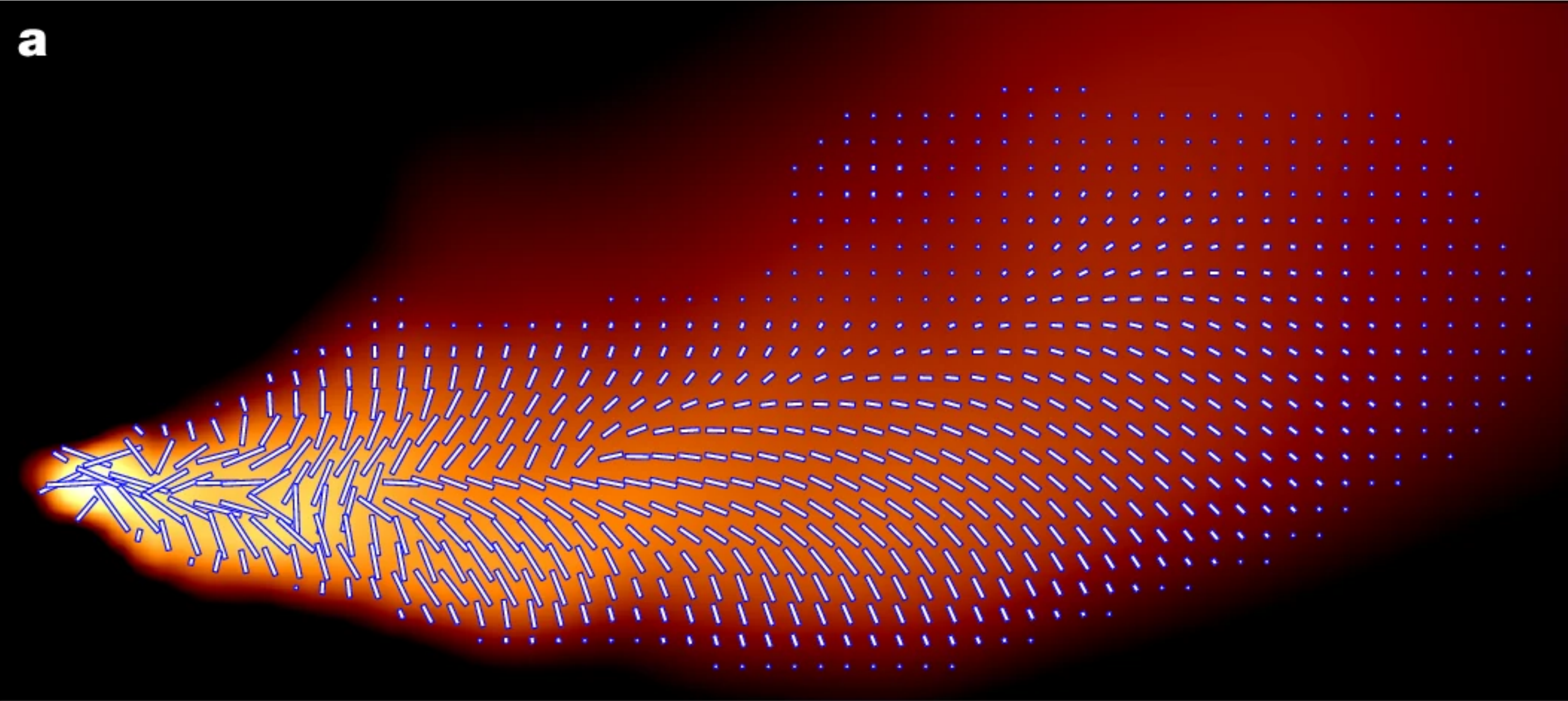 Scientists recreated what a blazar looks like from nearly 30 years of evidence — take a look