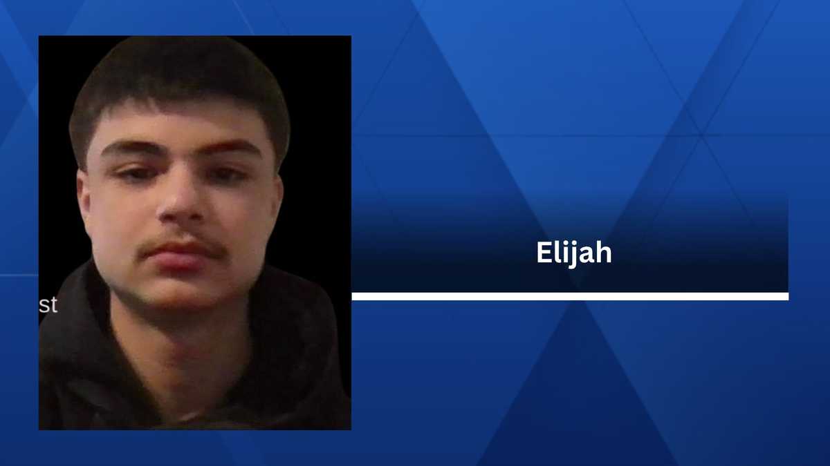 Missing person: Des Moines police searching for Elijah, 16