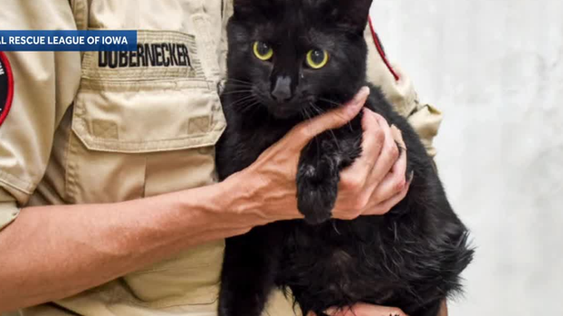 ARL helping flood-displaced pets, families after overnight rains