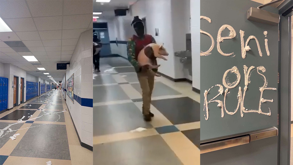 Video shows pigs at May River High as police investigate vandalism that closed school early