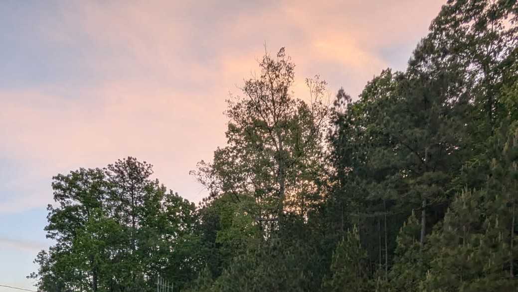 FBI's Operation Spring Cleaning leads to 40 arrests in North Alabama