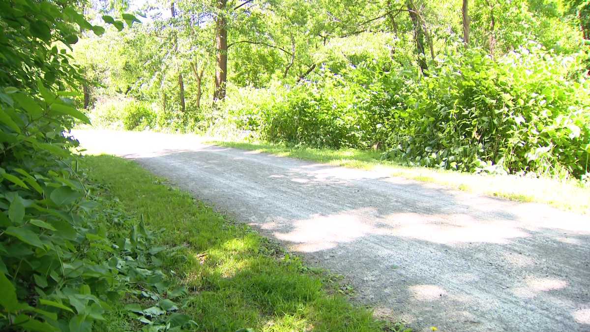 Police: Woman walking her dog is attacked by man on trail in Murrysville