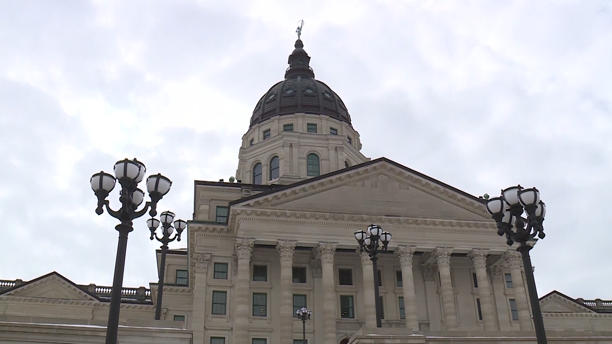 FULL INTERVIEWS: Kansas Republican governor candidates share their stances on the issues