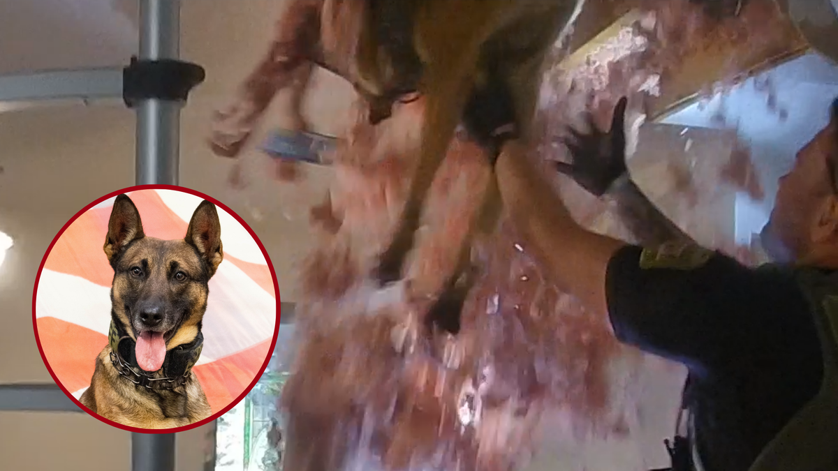 First Max’s Law charge filed in Clay County after suspect allegedly attacks K-9 during arrest