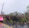 Tens of thousands of power outages in Western PA after severe storms