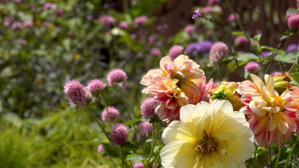 Discover a secret garden, craft cocktails among the blooms at this New England gem