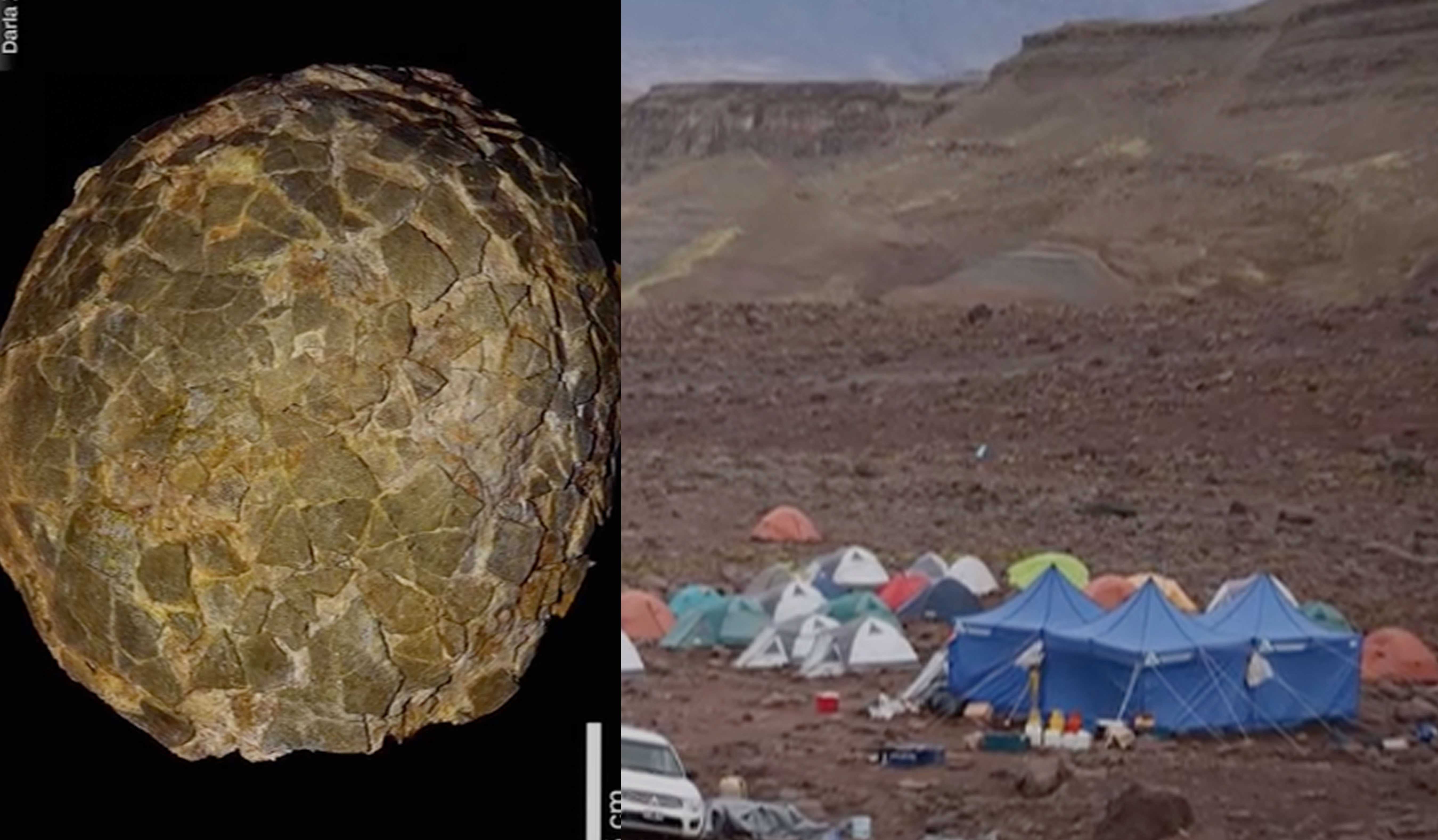 Fossilized eggs reveal new secrets about world’s biggest dinosaurs