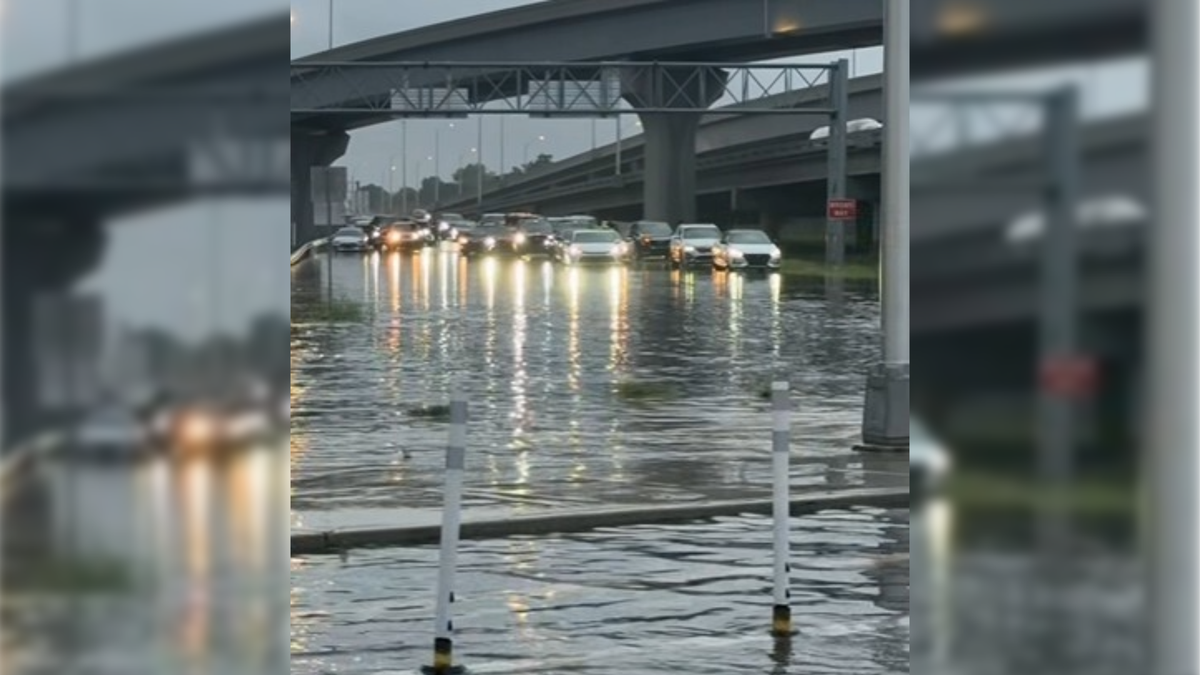 LIVE: Damage, widespread flooding reported across New Orleans Metro in Arthur's wake