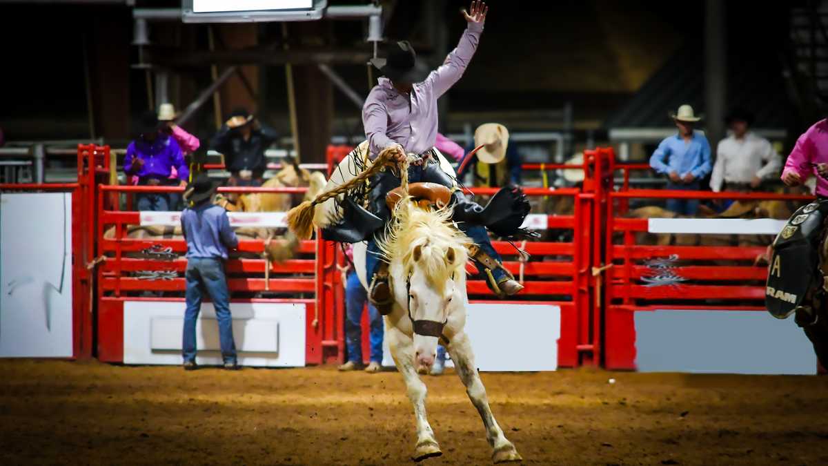 82nd annual Rodeo of the Ozarks starts Wednesday