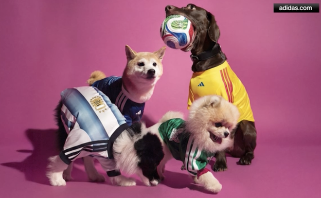 world cup pet jerseys