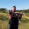 Kangaroo escapes petting zoo at Saline County Fairgrounds, captured after day on the loose