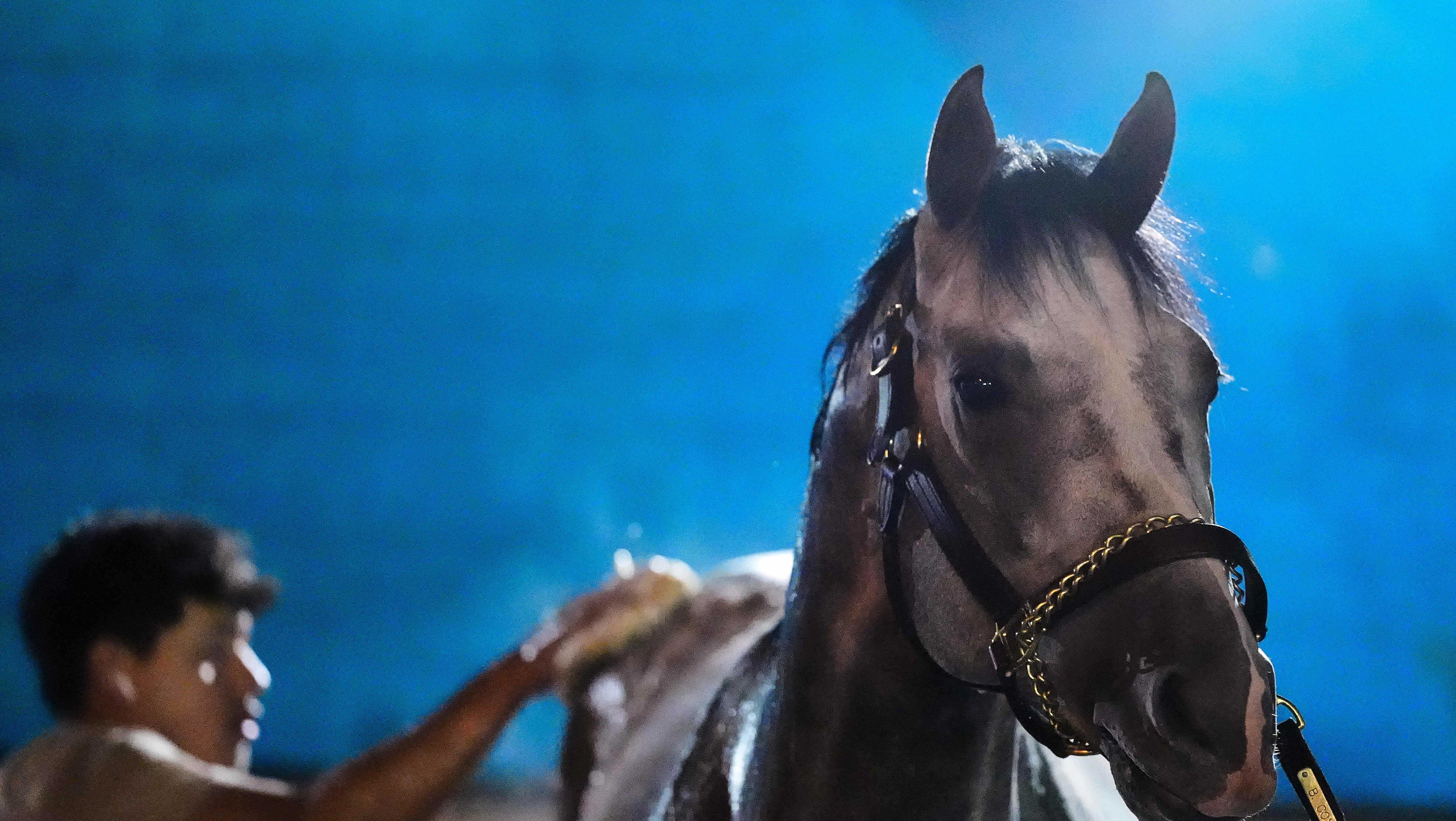 Second horse, Brad Cox-trained Fulleffort, scratches from Kentucky Derby