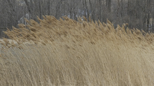 Northern New York's high winds and temperatures concern first responders as wildfire potential increases