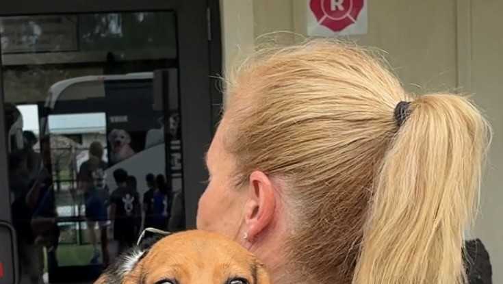 Latest group of beagles rescued from Wisconsin testing facility arrive in South Florida